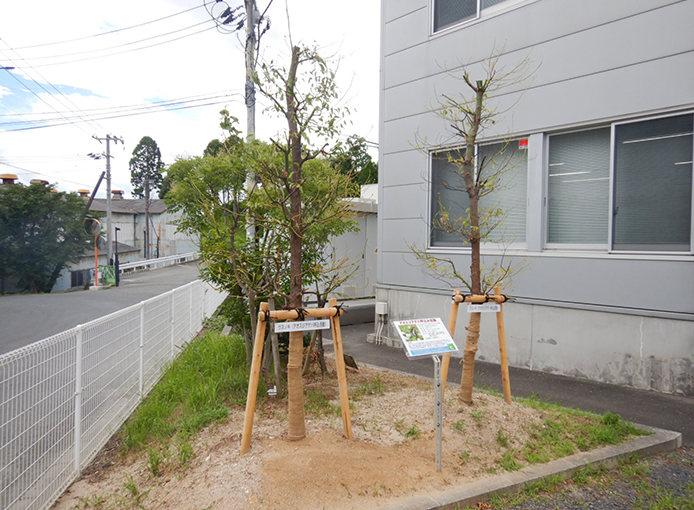 [イメージ] 事業所内の「クス」