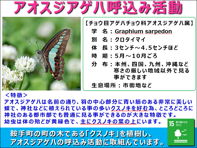 [イメージ] アオスジアゲハ呼込み活動